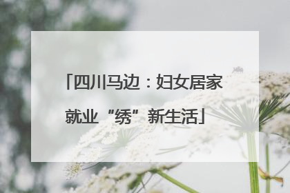 四川马边：妇女居家就业“绣”新生活