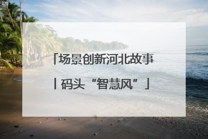 场景创新河北故事丨码头“智慧风”