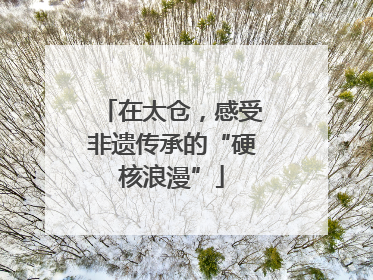 在太仓，感受非遗传承的“硬核浪漫”