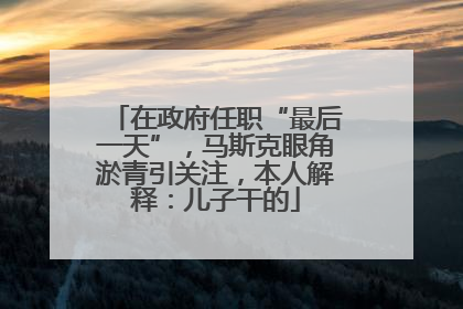 在政府任职“最后一天”，马斯克眼角淤青引关注，本人解释：儿子干的