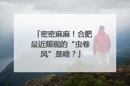 密密麻麻！合肥最近频现的“虫卷风”是啥？