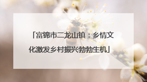 富锦市二龙山镇：乡情文化激发乡村振兴勃勃生机