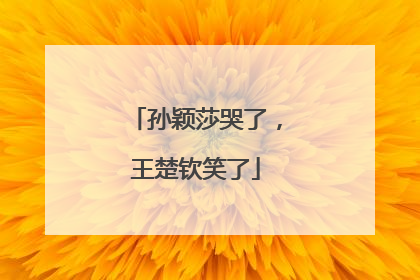 孙颖莎哭了，王楚钦笑了