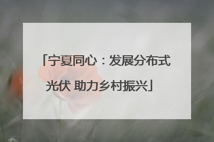 宁夏同心：发展分布式光伏 助力乡村振兴