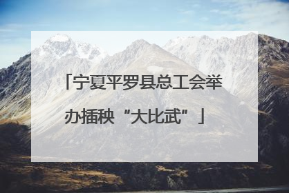 宁夏平罗县总工会举办插秧“大比武”