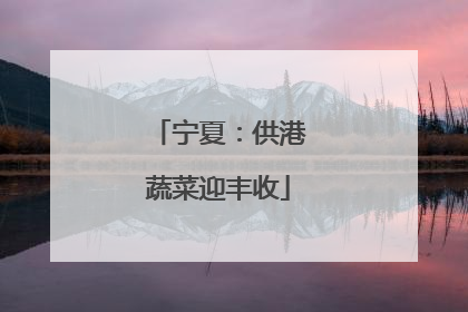 宁夏：供港蔬菜迎丰收