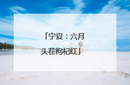 宁夏：六月头茬枸杞红