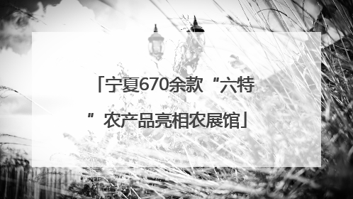宁夏670余款“六特”农产品亮相农展馆