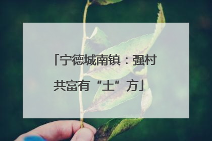 宁德城南镇：强村共富有“土”方