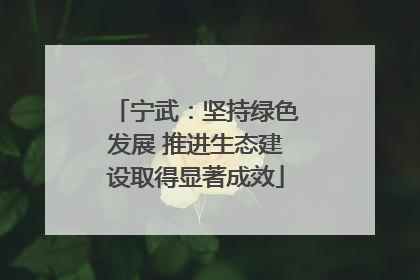 宁武：坚持绿色发展 推进生态建设取得显著成效