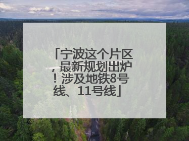 宁波这个片区，最新规划出炉！涉及地铁8号线、11号线