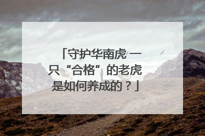 守护华南虎 一只“合格”的老虎是如何养成的？