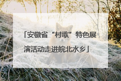 安徽省“村歌”特色展演活动走进皖北水乡