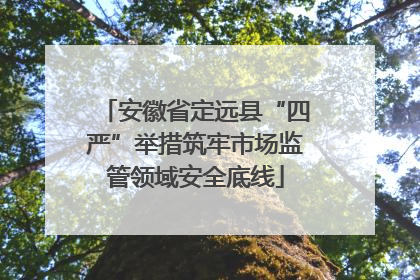 安徽省定远县“四严”举措筑牢市场监管领域安全底线