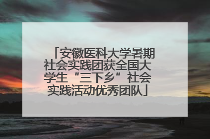 安徽医科大学暑期社会实践团获全国大学生“三下乡”社会实践活动优秀团队