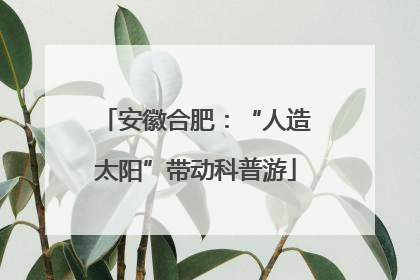 安徽合肥：“人造太阳”带动科普游