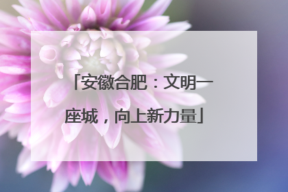 安徽合肥：文明一座城，向上新力量