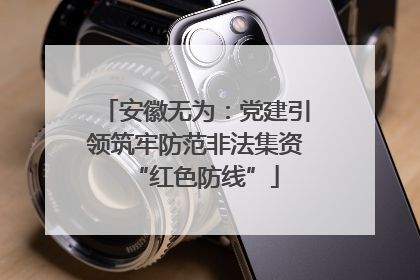 安徽无为：党建引领筑牢防范非法集资“红色防线”