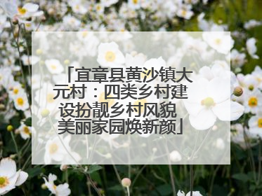 宜章县黄沙镇大元村：四类乡村建设扮靓乡村风貌 美丽家园焕新颜