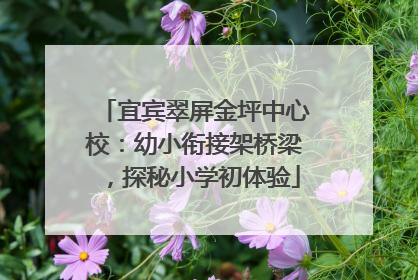 宜宾翠屏金坪中心校：幼小衔接架桥梁，探秘小学初体验