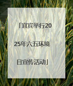 宜宾举行2025年六五环境日宣传活动