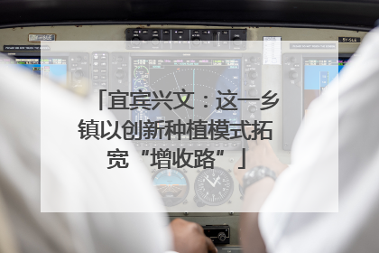 宜宾兴文：这一乡镇以创新种植模式拓宽“增收路”