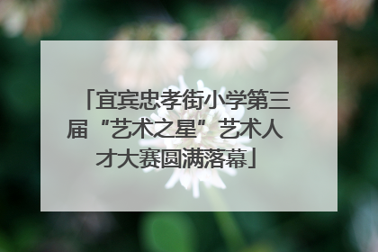 宜宾忠孝街小学第三届“艺术之星”艺术人才大赛圆满落幕