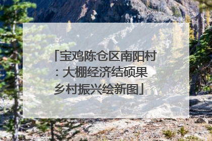 宝鸡陈仓区南阳村：大棚经济结硕果 乡村振兴绘新图