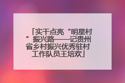 实干点亮“明星村”振兴路——记贵州省乡村振兴优秀驻村工作队员王培欢