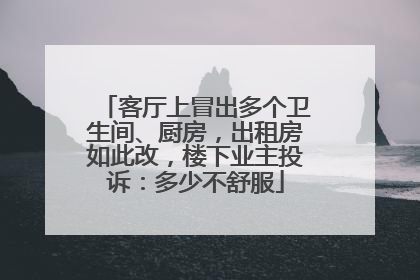 客厅上冒出多个卫生间、厨房，出租房如此改，楼下业主投诉：多少不舒服