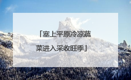 塞上平原冷凉蔬菜进入采收旺季