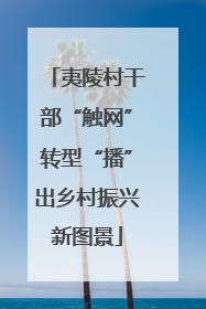 夷陵村干部“触网”转型“播”出乡村振兴新图景