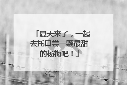 夏天来了，一起去托口尝一颗最甜的杨梅吧！