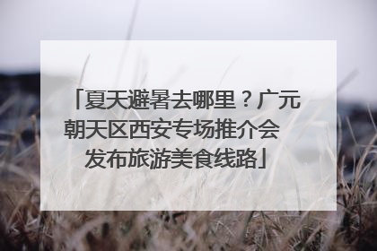 夏天避暑去哪里？广元朝天区西安专场推介会 发布旅游美食线路