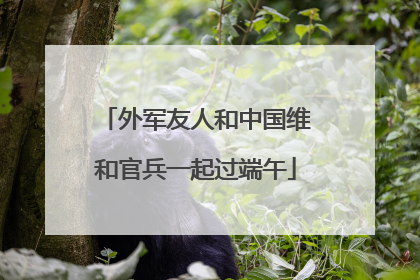 外军友人和中国维和官兵一起过端午
