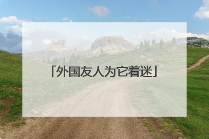 外国友人为它着迷