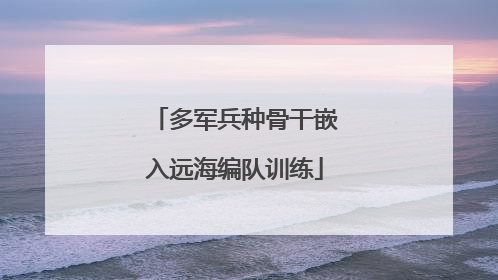 多军兵种骨干嵌入远海编队训练