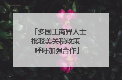 多国工商界人士批驳美关税政策 呼吁加强合作