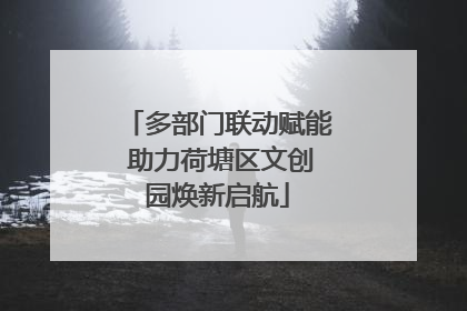 多部门联动赋能 助力荷塘区文创园焕新启航