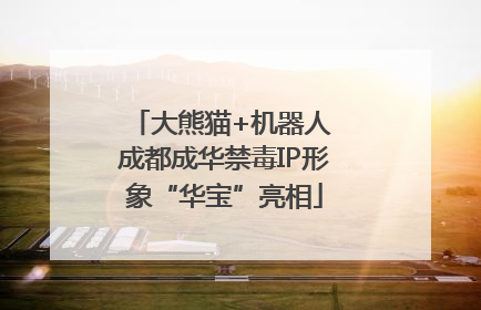 大熊猫+机器人 成都成华禁毒IP形象“华宝”亮相