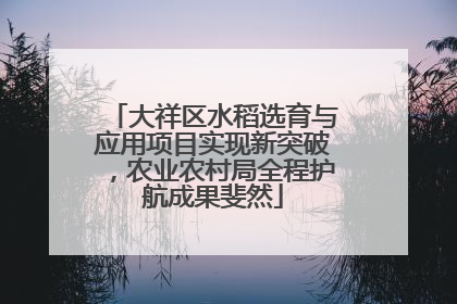 大祥区水稻选育与应用项目实现新突破，农业农村局全程护航成果斐然