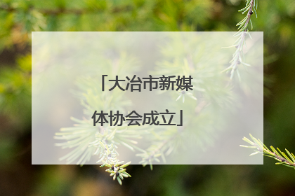 大冶市新媒体协会成立