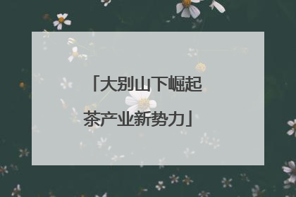 大别山下崛起茶产业新势力