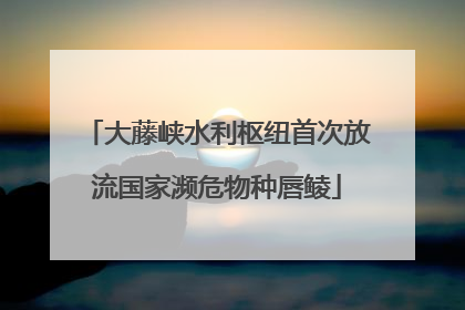 大藤峡水利枢纽首次放流国家濒危物种唇鲮