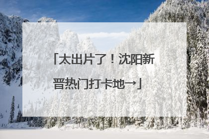 太出片了！沈阳新晋热门打卡地→