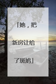 她，把新房让给了斑鸠