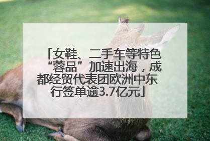 女鞋、二手车等特色“蓉品”加速出海，成都经贸代表团欧洲中东行签单逾3.7亿元