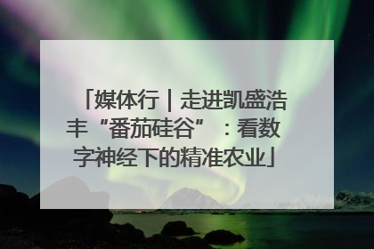 媒体行｜走进凯盛浩丰“番茄硅谷”：看数字神经下的精准农业