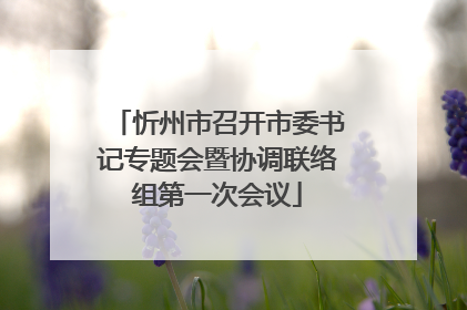 忻州市召开市委书记专题会暨协调联络组第一次会议