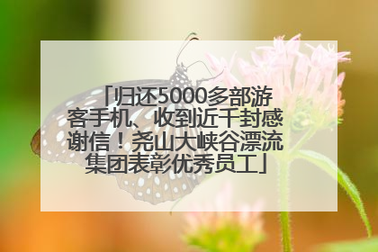 归还5000多部游客手机、收到近千封感谢信！尧山大峡谷漂流集团表彰优秀员工